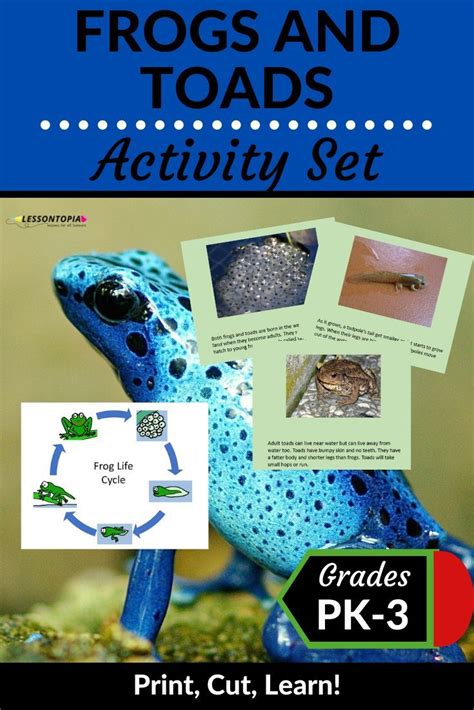 Frog And Toad Activities Frog Life Third Grade Science Activities Life Cycles Activities