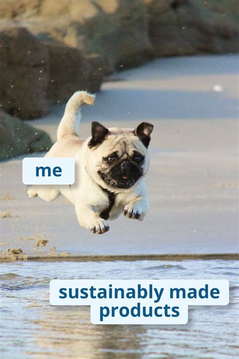 Sustainable Living Memes Eco Friendly Memes Eco Friendly Living