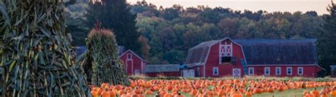 INSTA Nicola Cavanis Black Bikini At The Beach 14 July 2024 Phun Org Forum