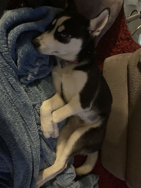 Rick A37-Z on Twitter: "@Arwen_Datnoid Damn I missed your post on that