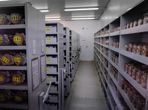 Major Milestone Passed As Kew’s Millennium Seed Bank Records 40,000th