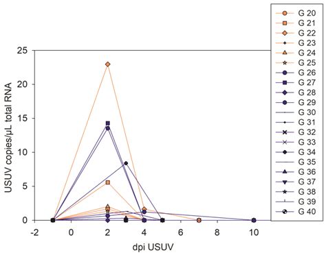 A Prior Usutu Virus Infection Can Protect Geese from Severe West Nile