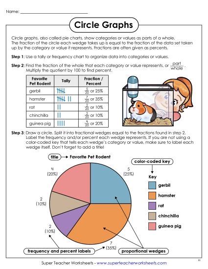 circle graph worksheets grade