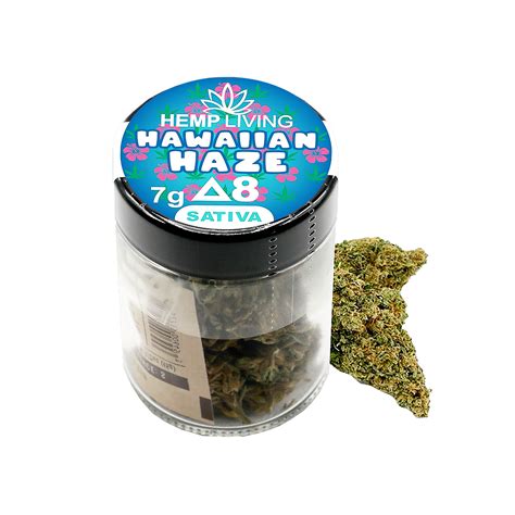 Hemp Living Hemp Living Delta 8 Flower 7g Jar Hawaiian Haze Leafly