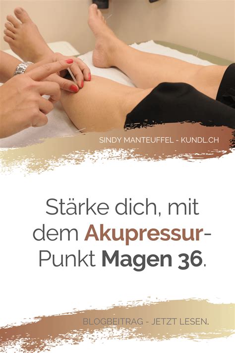 KUNDL Ma 36 Ein Meisterpunkt für dein Immunsystem