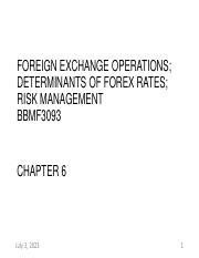 Chapter Pdf Foreign Exchange Operations Determinants Of Forex Rates