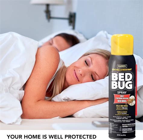 Get Rid Of Bed Bugs With The Best Bed Bug Spray