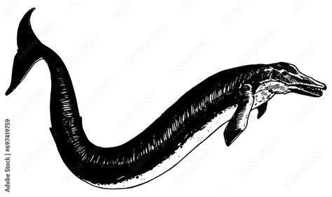 Basilosaurus Vector Illustration Of Extinct Animal Stock Vector