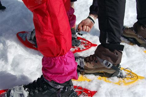 Vancouver S Grouse Mountain Offers Snowshoe And Fondue Package