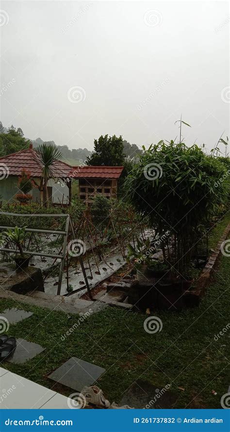 The Junggle In Indonesia Stock Photo Image Of Nature 261737832