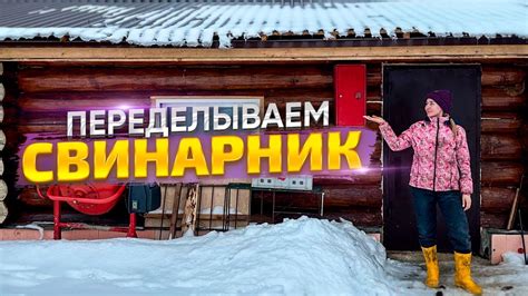 Любимая работа с животными! Коровы, свиньи, козы, еще и успеваем ...