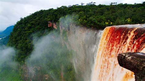 Guyana：an African Country Famous For Its Expansive Forests And Vibrant