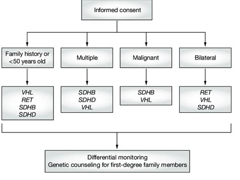 Algorithm For Genetic Testing For Genes Associated With Download Scientific Diagram