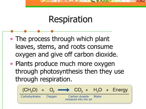 Plant Growth And Development Ppt Download