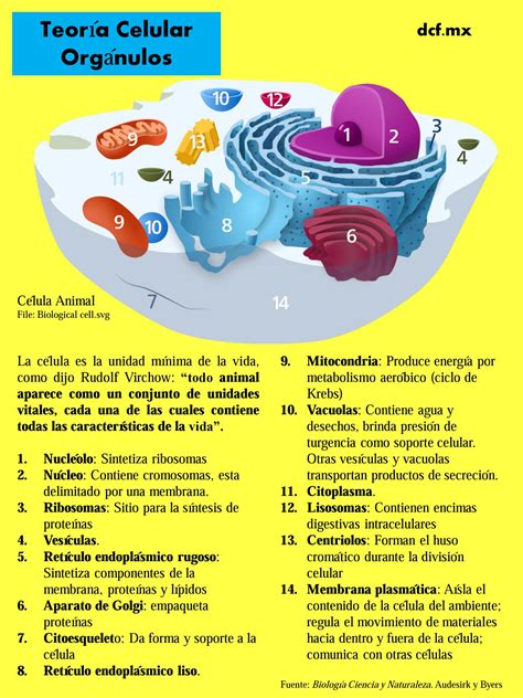 Postulados De La Teoria Celular 1