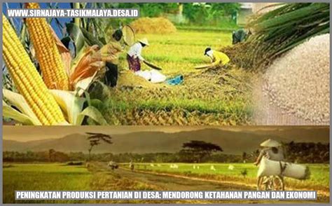 peningkatan produksi pertanian  desa mendorong ketahanan pangan