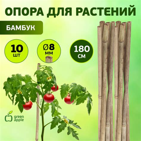 Опора для растений и цветов бамбуковая GBS-8-180 GREEN APPLE 180 см х 8 ...