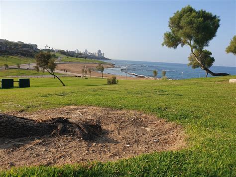 mokaa yafa  alakhbary altks artfaaa mlmos aakhr aal drjat alhrar