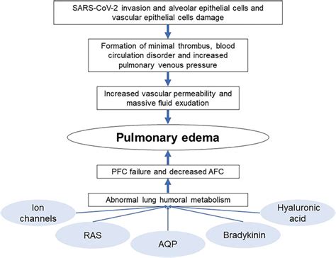 Pulmonary Edema Pathophysiology