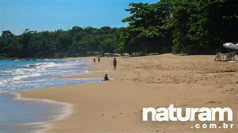 Praia Do Curral Ilhabela Guia Completo Naturam