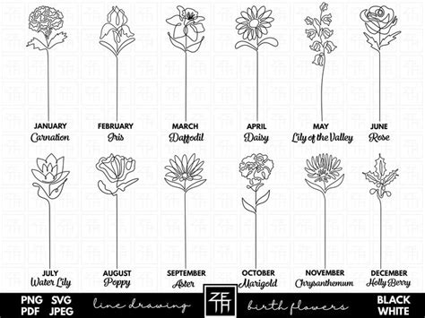 Birth Month Flower Svg Line Art Flowers Svg Birth Flowers Svg Line