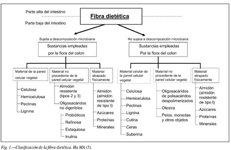 La Fibra Dietética