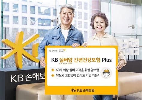 Kb손해보험 ‘kb 실버암 간편건강보험 Plus 출시보험신보