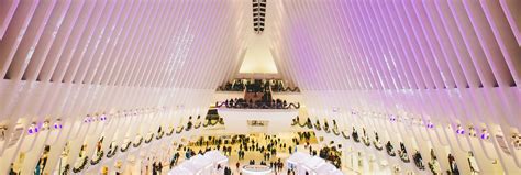 Full Spectrum LED Lights: Is It Worth the Mega-Hype? – LUXX Light ...