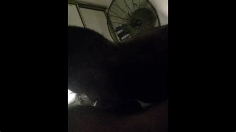 Showing Off Some Denver Skills Pornhub Gay