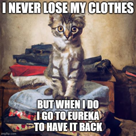 Cat On Clothes Imgflip