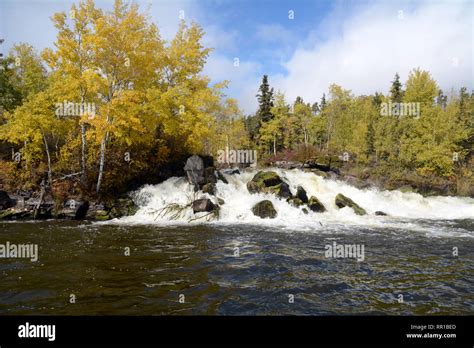 Boreal Forest Canada Hi Res Stock Photography And Images Alamy