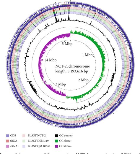 Figure 1 From Genomic Analysis Of Bacillus Megaterium NCT 2 Reveals Its