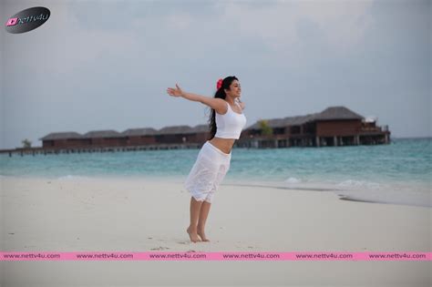 Telugu Actress Charmi Kaur Hot And Sexy Pictures Galleries HD Images