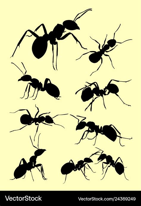 Ant animal silhouette Royalty Free Vector Image