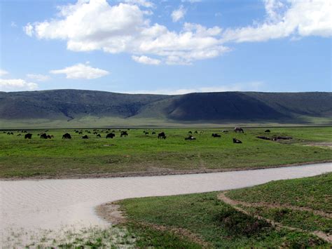 Ngorongoro Crater Wallpaper