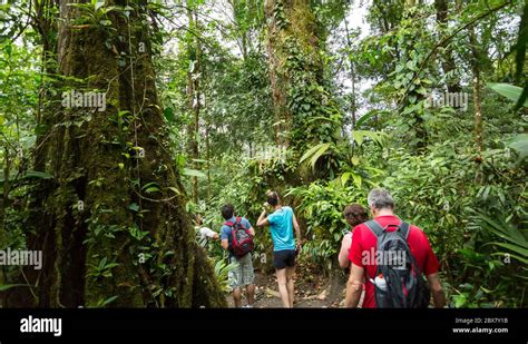 Walking Guide Tourism Hi Res Stock Photography And Images Alamy