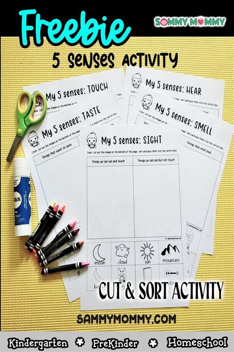 Easy Prep 5 Senses Activity For Kindergarten Artofit