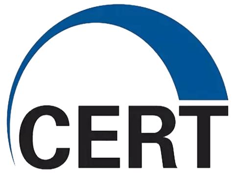 cert coding standard qa systems