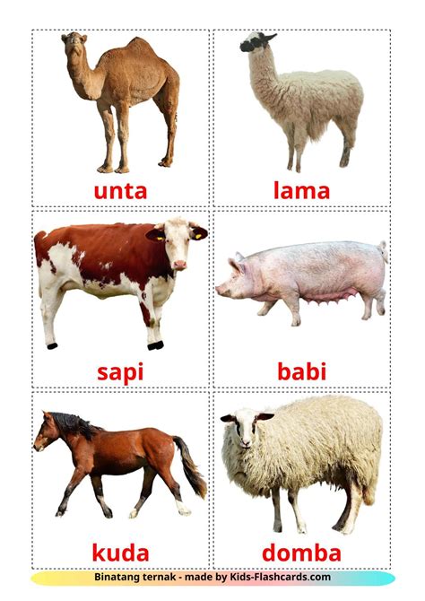 farm animals flashcards  indonesian words