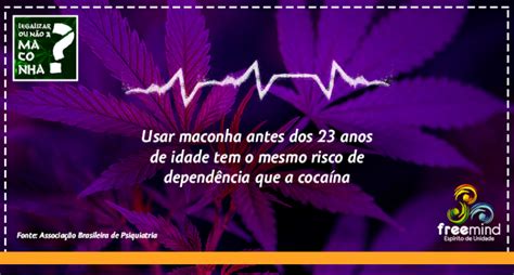 Argumento 2 Usar Maconha Antes Dos 23 Anos De Idade Tem O Mesmo Risco