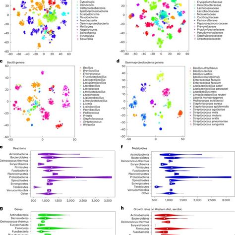 A Metabolic Niches In The Gut Microbiome The Localization And