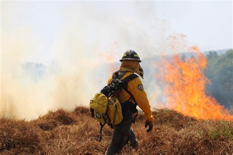 Combaten Brigadistas De Sedema 960 Incendios Forestales Y 803 Conatos