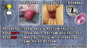 Maria Dildo Prolapse XNXX