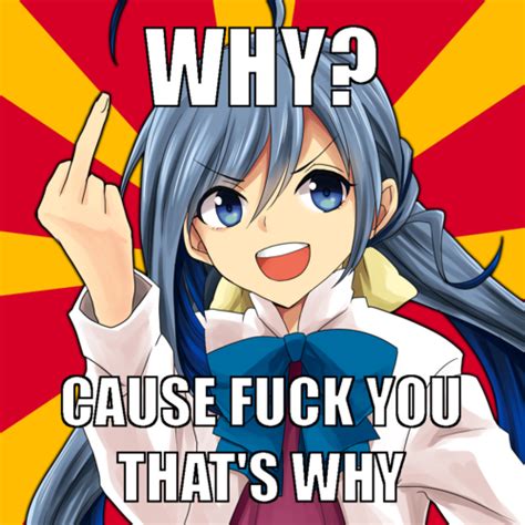 F Ck You Why Because Fuck You That S Why Know Your Meme