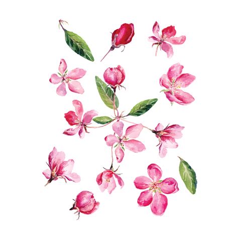 Купити Кольорове Тимчасове Тату Сет рожевих квіточок