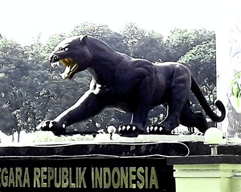 arti mimpi harimau hitam masuk rumah 10