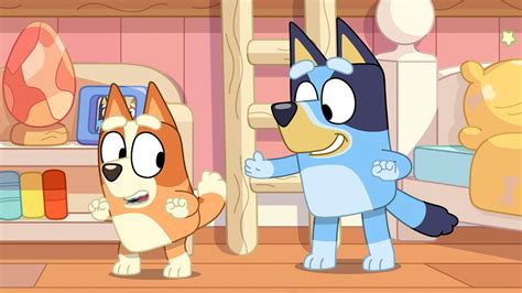 Bluey New Episodes Abc Iview