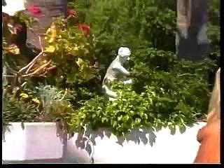 Watch Timea Hungarian Blonde Hardcore Porn SpankBang