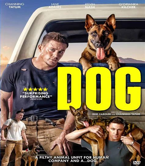 Dog Includes Digital Copy Blu Raydvd 2022 Best Buy 57 Off