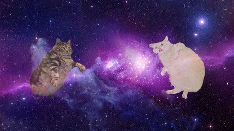 Space Cats Rspacecats